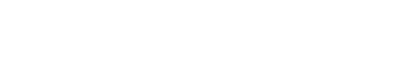 Adult Chat Now logo